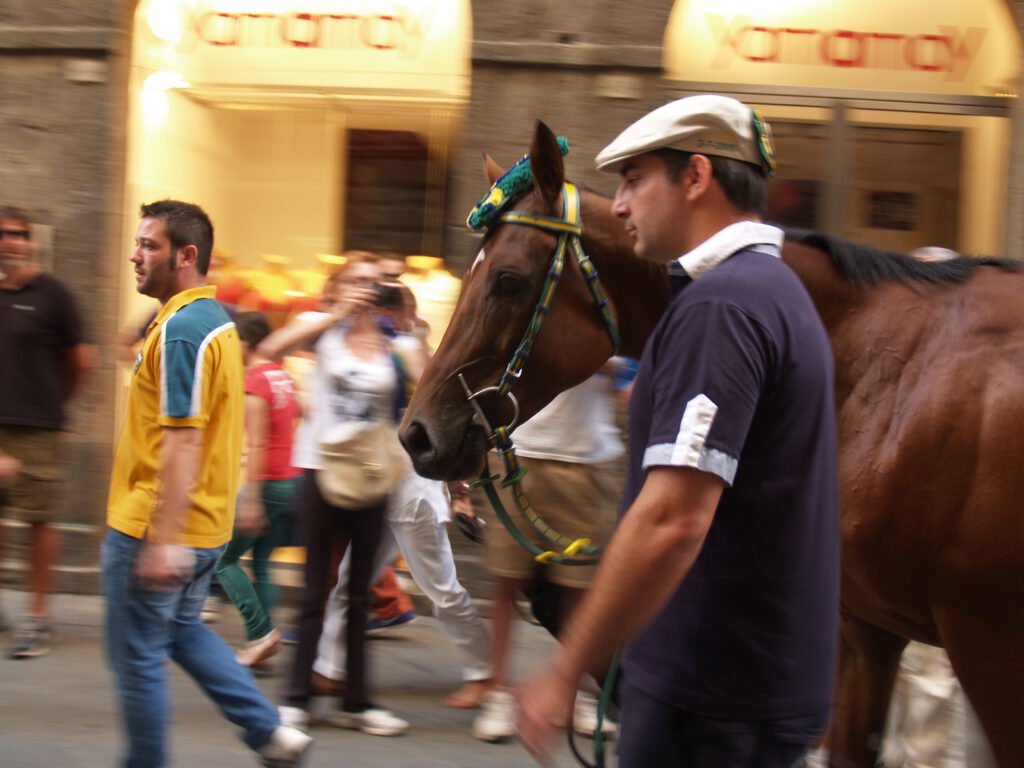 Palio Horse