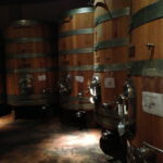 Fermentation