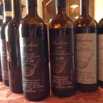 Seghesio Barolo