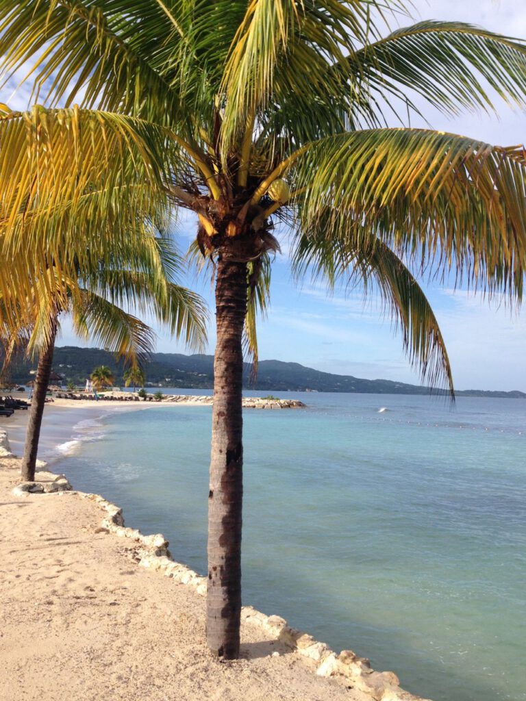 Secrets Wild Orchid Jamaica Beach
